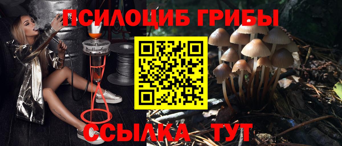 Галлюциногенные грибы Psilocybine cubensis Электрогорск