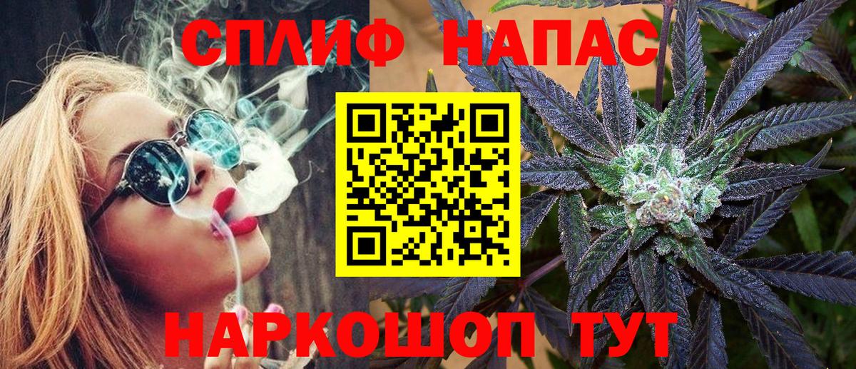 Канабис сатива Электрогорск